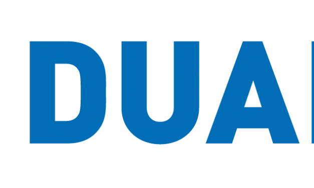 DUALIS GmbH IT Solution